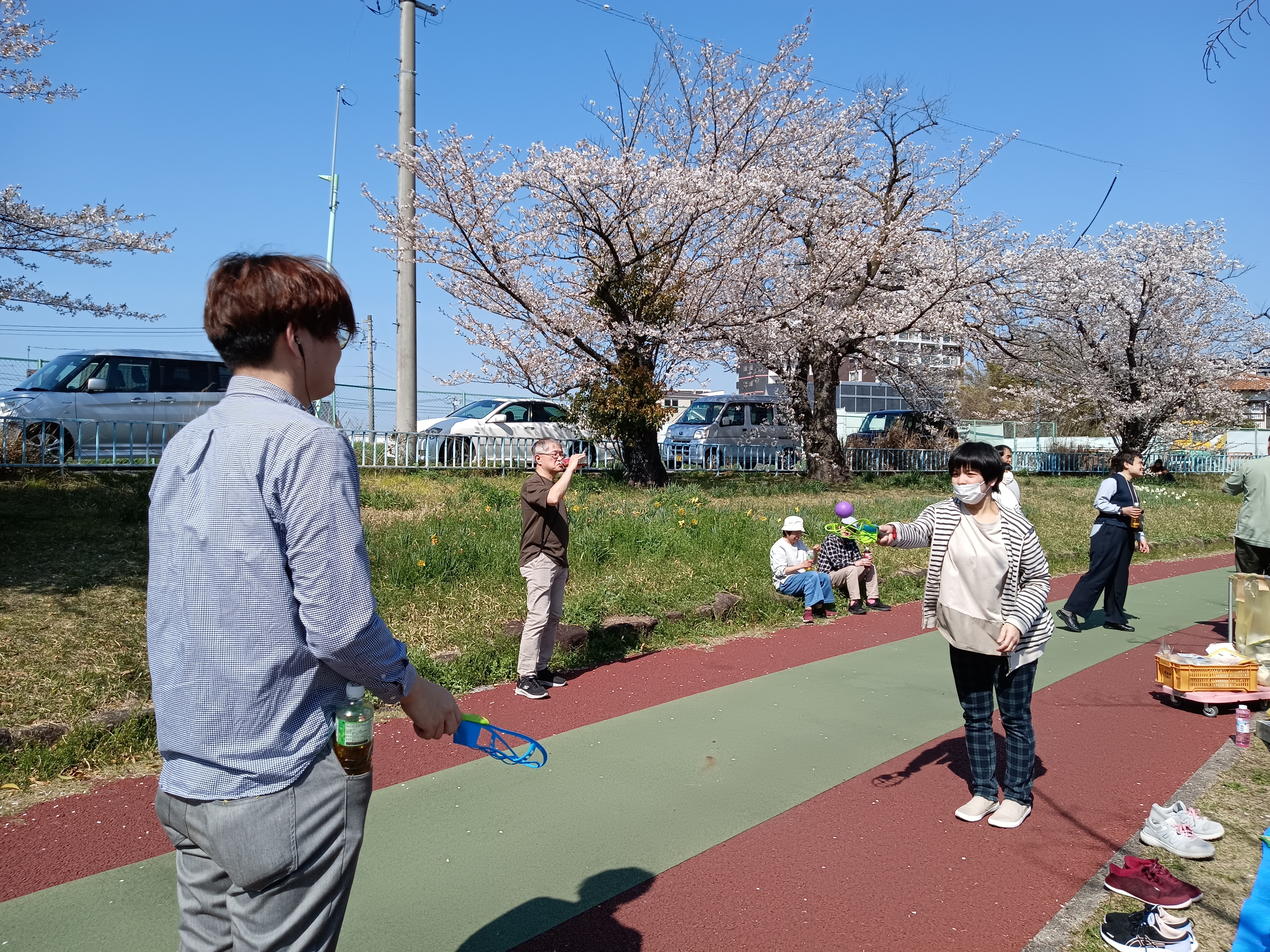 miru-hanami2026.4